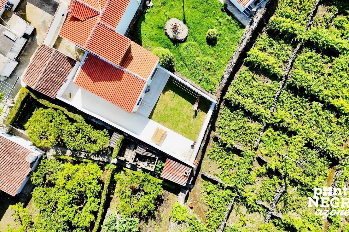 The Biscuit House By Pontanegraazores Praia da Vitória المظهر الخارجي الصورة